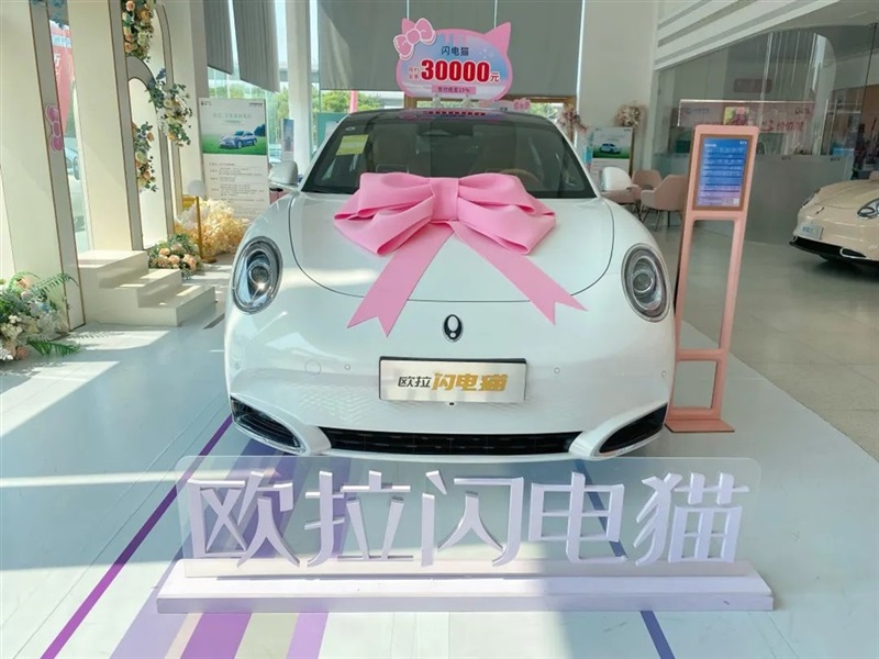 【遠(yuǎn)通新能源探店第6期】仙女座駕——?dú)W拉貓家族！#10431