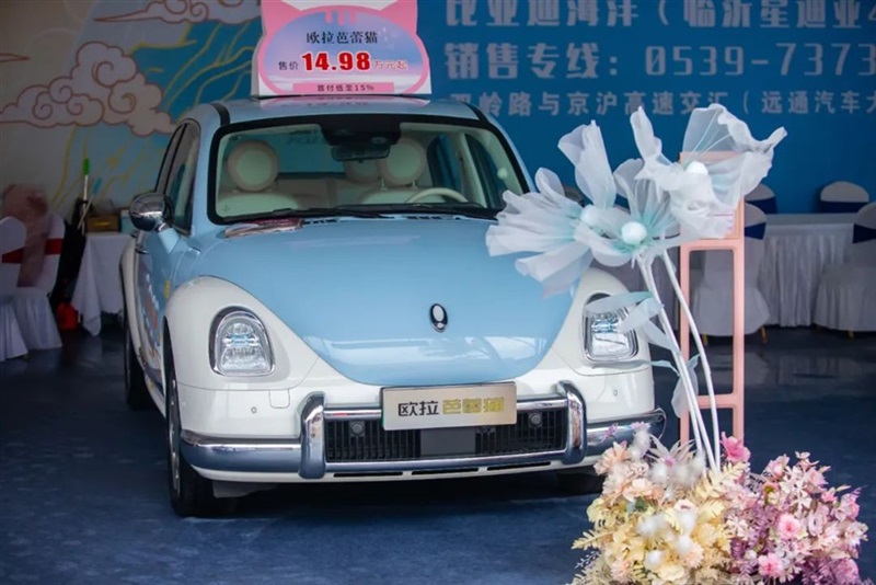 遠通國慶車展開幕！#10518
