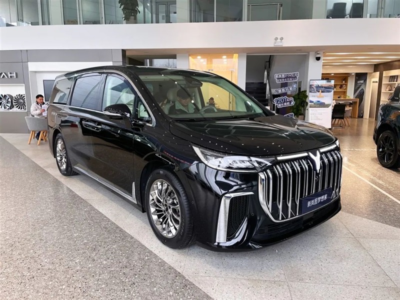 【遠通新能源探店第13期】高端智慧新能源：嵐圖汽車#10905